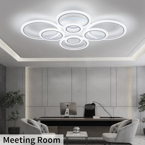 Modern LED Ceiling Light