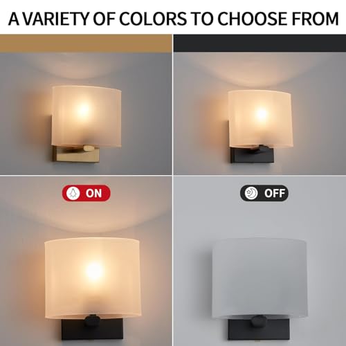 Small Flat Modern Acrylic Indoor Hardwired Black Wall Sconce Light