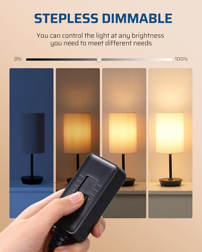 Plug in Dimmer Switch for Lamp