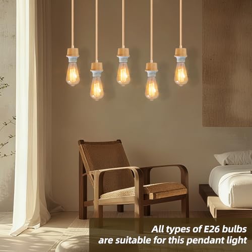Plug in Pendant Light Cord