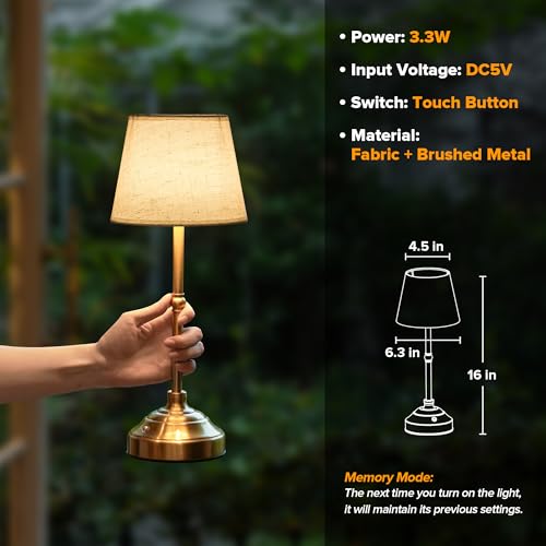 Cordless Table Lamp