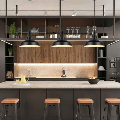 Pendant Light Fixtures (2 Count)
