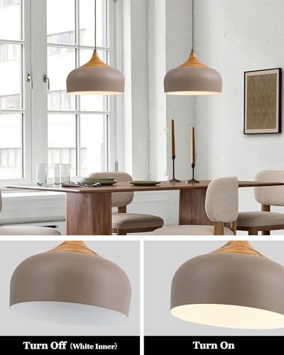 12" Japandi Pendant Light