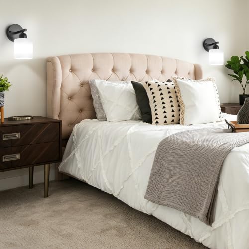 2PCS Light Black Bathroom Light Fixture