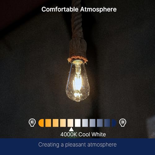 7W LED Edison Bulbs (6 Count)