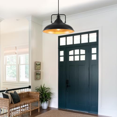 Black Pendant Light