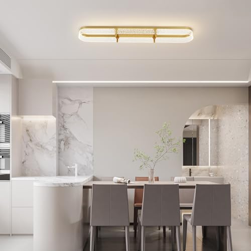 43 inch Modern LED Ceiling Light Fixture