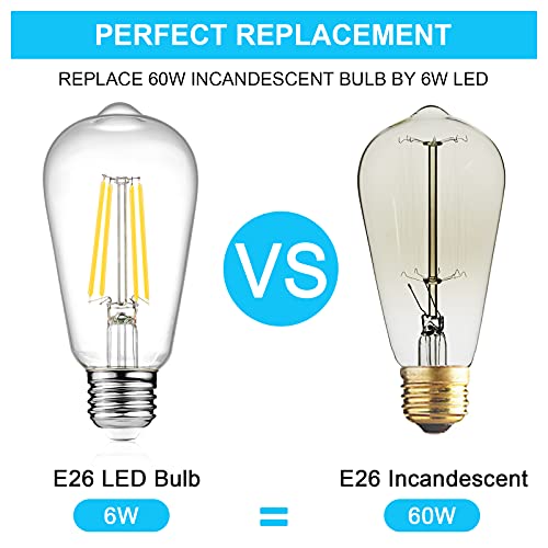 LED Edison Bulbs 6W (4 Count)