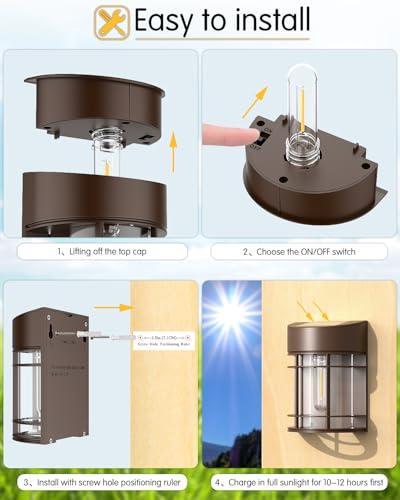 Solar Lights Outdoor (12 Count)