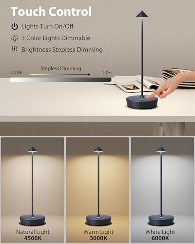 Cordless Table Lamps Rechargeable 6000mAh Battery Operated LED Desk Lamp (2 Count)