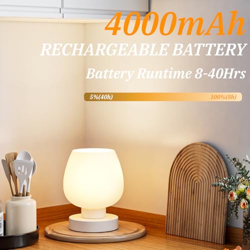 Cordless Touch Table Lamp for Nightstand