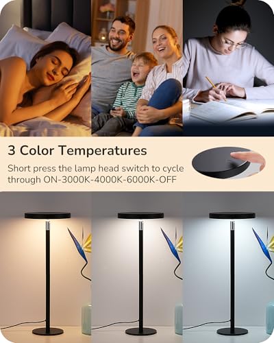 LED Table Lamp