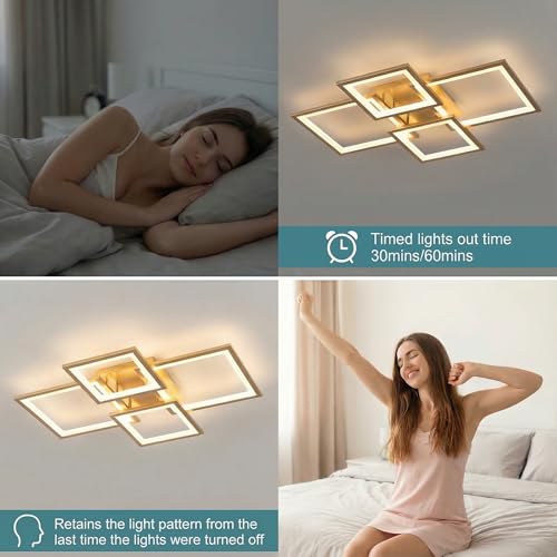 Modern LED Ceiling Light
