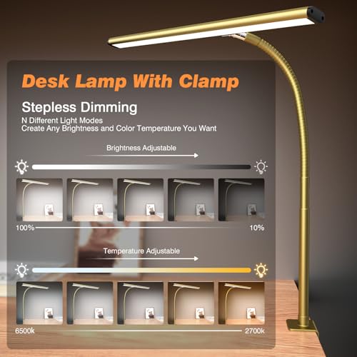 LED Desk Lamp with Clamp