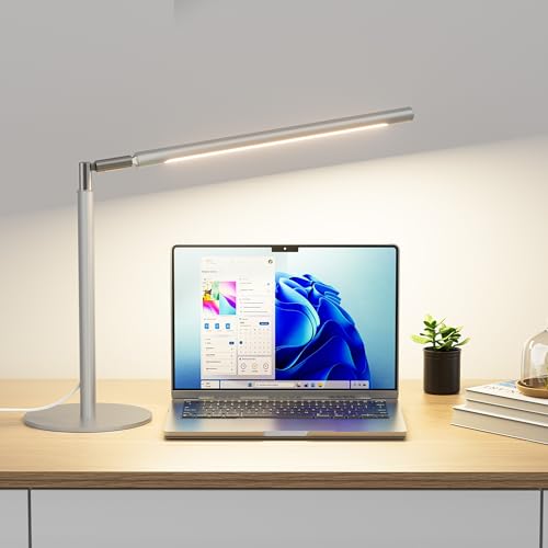 Silver LED Desk Lamp