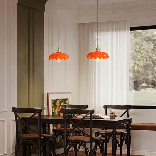 Plug in Pendant Light