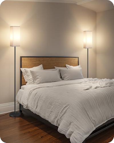 2Pack Floor Lamp
