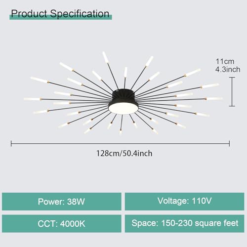 Modern Ceiling Light