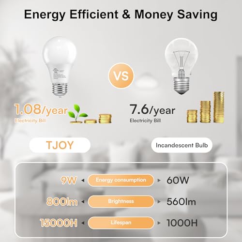 A19 LED Light Bulbs (24 Count)