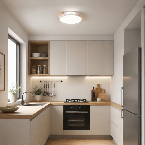 Modern LED Ceiling Light