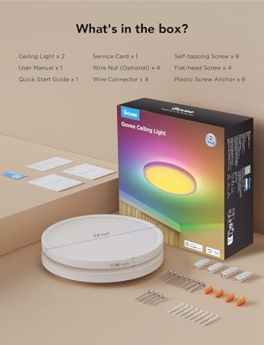 Smart Ceiling Light