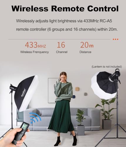 2Pack SL60W Studio LED Video Light Kit for Photography (2 Count)