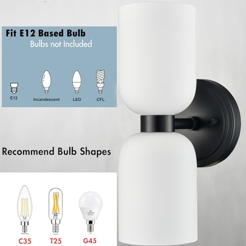 Black Wall Sconces Set of 2 Glass Vine Shades