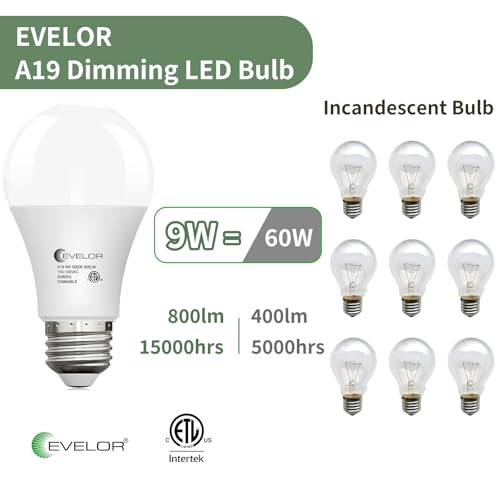 6 Pack LED Light Bulbs (6 Count)