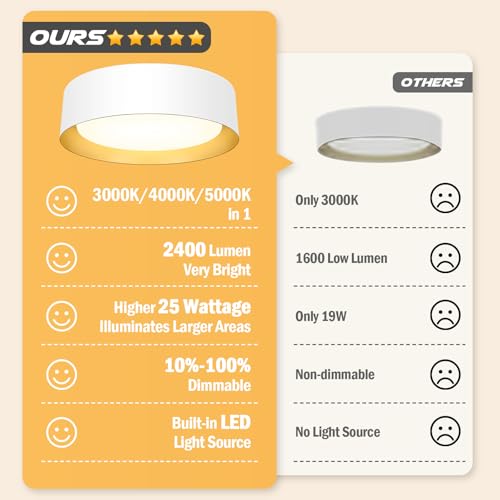 Flush Mount Ceiling Light