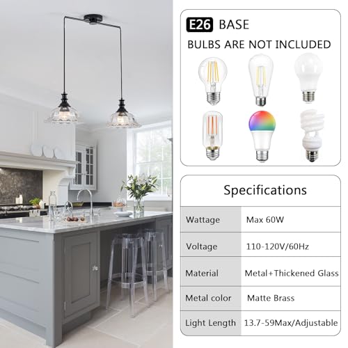 2 Light Pendant Light Fixtures Modern Glass Hanging Lights with Adjustable Cord for Kitchen Island Dining Room Living Room Hallway Black and Clear