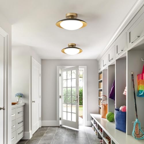 Dimmable Modern Mid