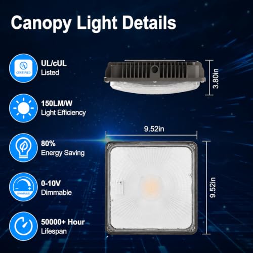 LED Canopy Light 60W (60W 1PACK)