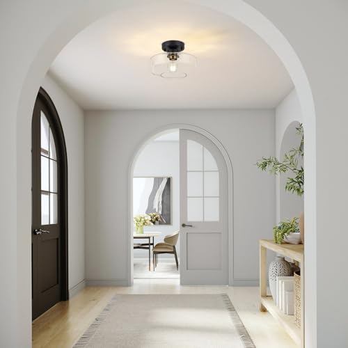 Semi Flush Mount Ceiling Light