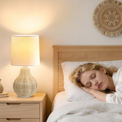 Rattan Table Lamp Boho Lamps Set of 2 (2 Count)