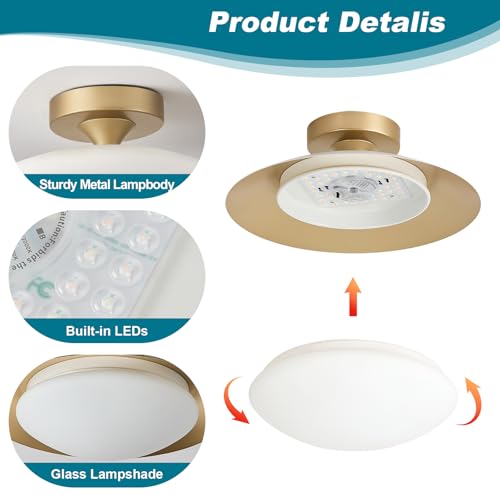 Dimmable Modern LED White and Gold Ceiling Light Fixture 11.81 in