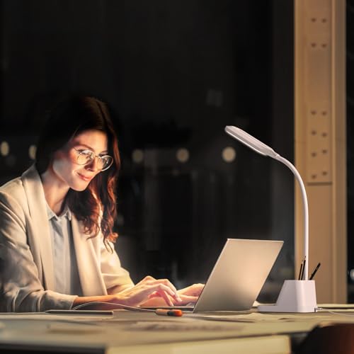 White LED Desk Lamp with USB Charging Port