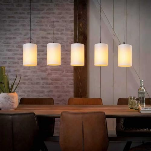 Frosted Glass Lamp Shade Replacement