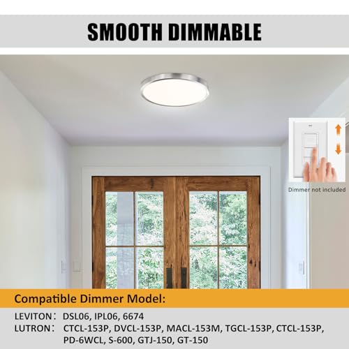 Flush Mount Ceiling Light Fixture