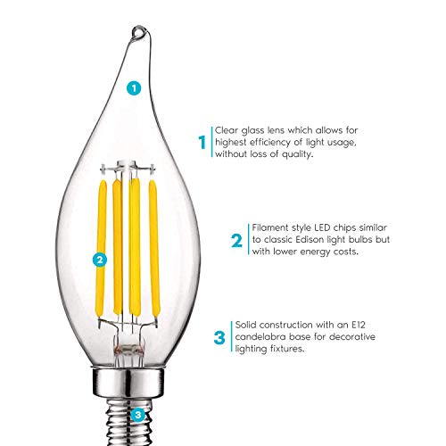 Vintage Candelabra LED Bulb 60W Equivalent (24 Count)