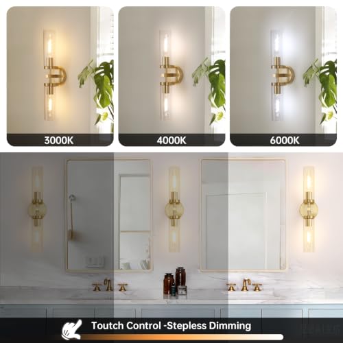 Set of 2 Wall Sconces (2 Count)