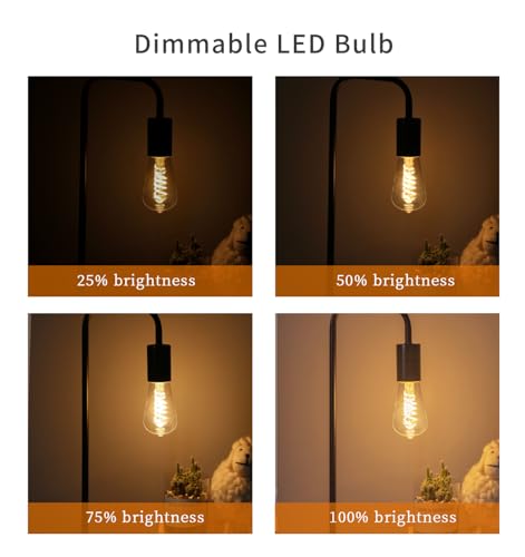 12 PCS ST58 Dimmable Spiral Vintage E26 LED Bulb 60 Watt LED Edison Bulbs (12 Count)