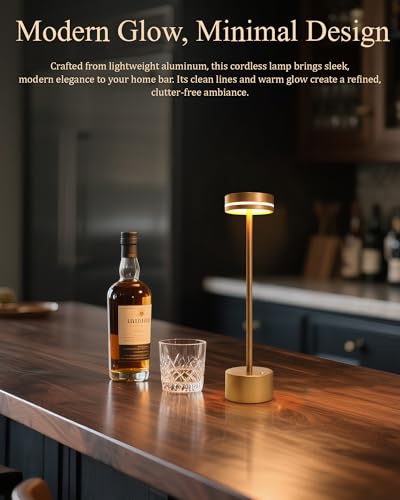 2 Pack LED Cordless Table Lamp Rechargeable (2 Count)