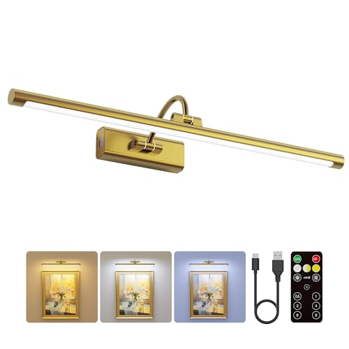 24" Picture Lights for Wall with 8000mAh Battery