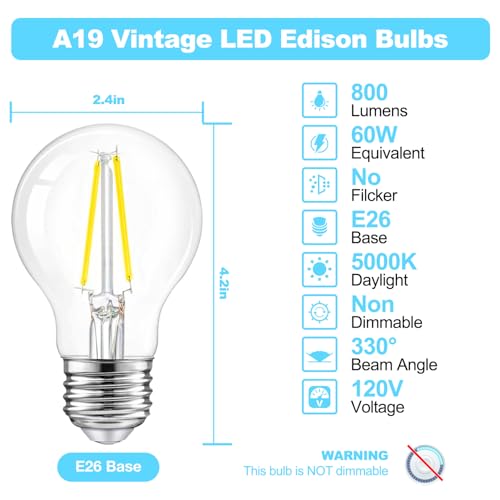 A19 Vintage LED Edison Bulbs (4 Count)