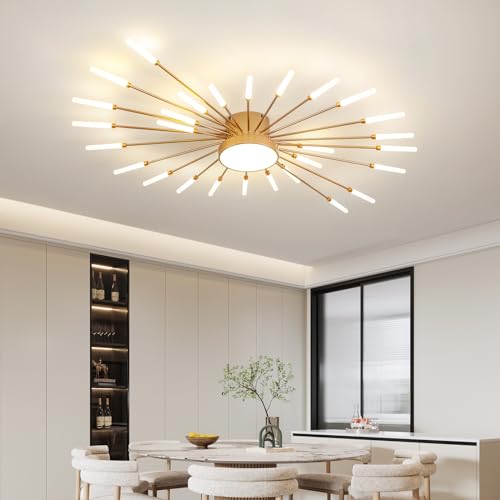 Modern Ceiling Light