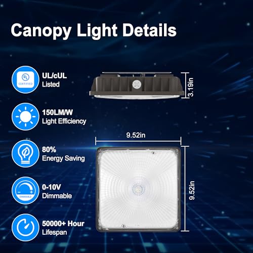 40W LED Canopy Light (40W 1PACK)