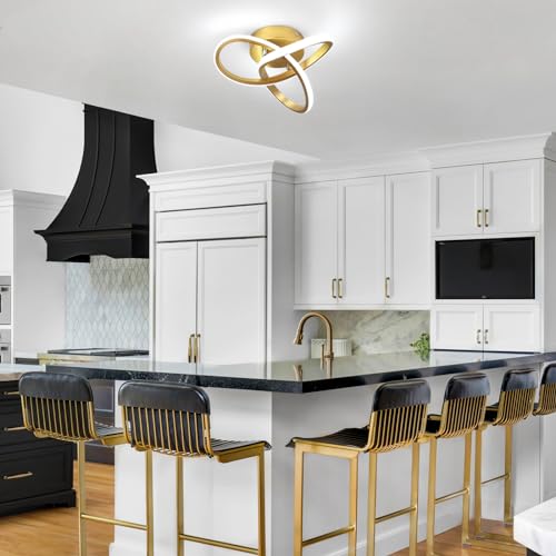 Modern Led Ceiling Light Fixture