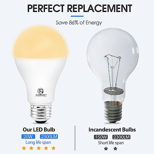 ENERGETIC SMARTER LIGHTING A21 LED Bulb 150 Watt Equivalent (2 Count)