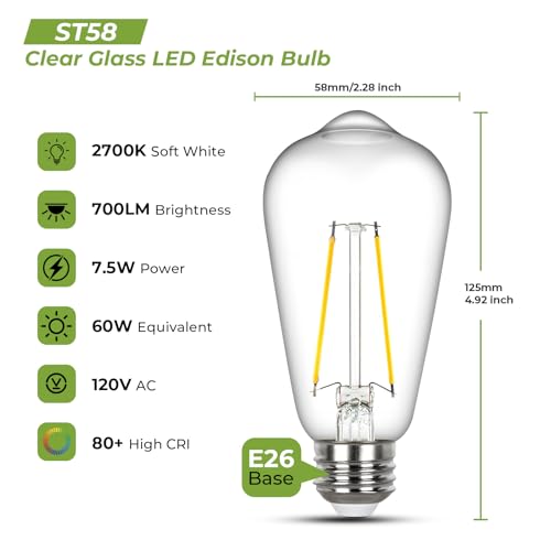 Edison Light Bulbs 60 watt Equivalent (6 Count)