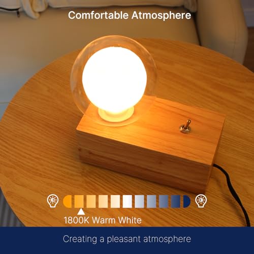 G125 Decorative Large Globe LED Bulb